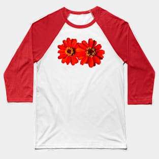 red flowers, flower, nature, blooms, blooming Baseball T-Shirt